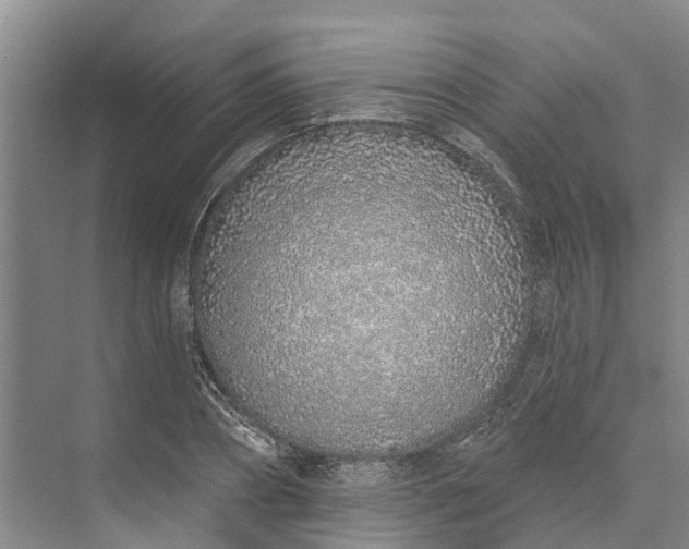 X0000072940882200608041239