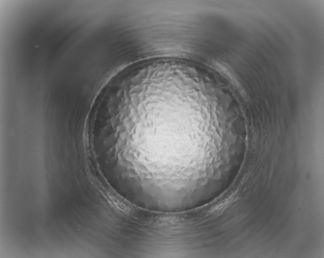 X0000072940883200608041239