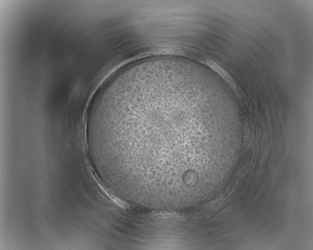 X0000072940886200608041239