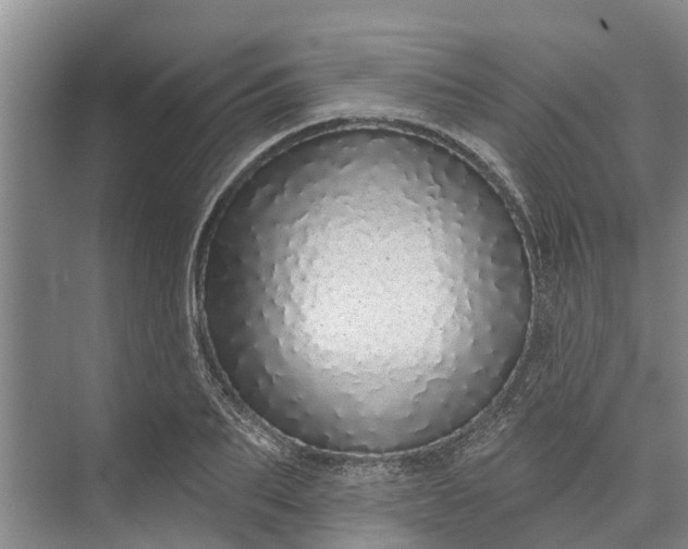 X0000072940887200608041239