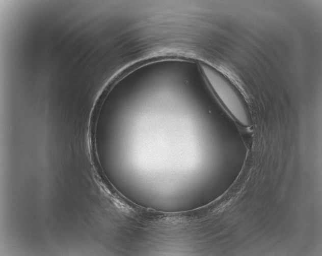 X0000072940888200608041239