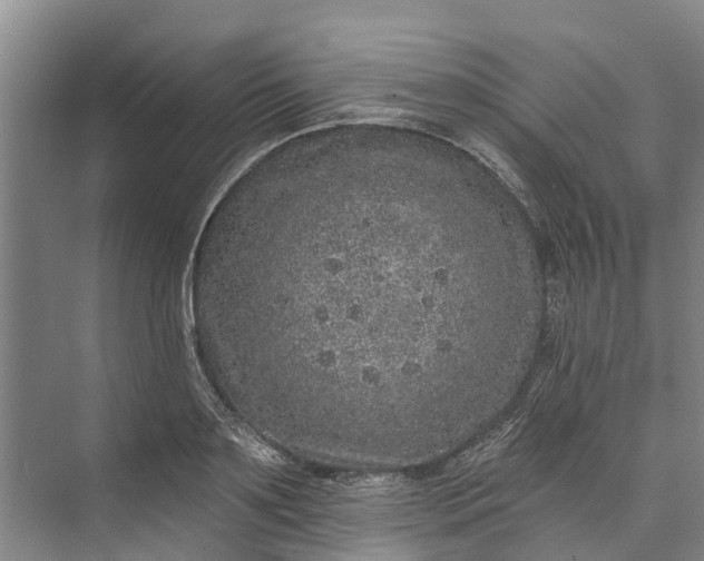 X0000072940891200608041239