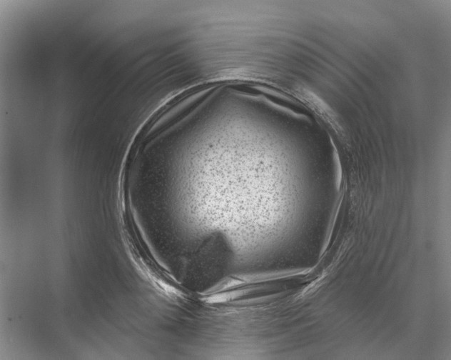 X0000072940892200608041239