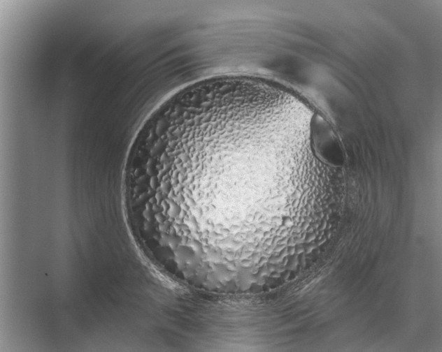 X0000072940895200608041239