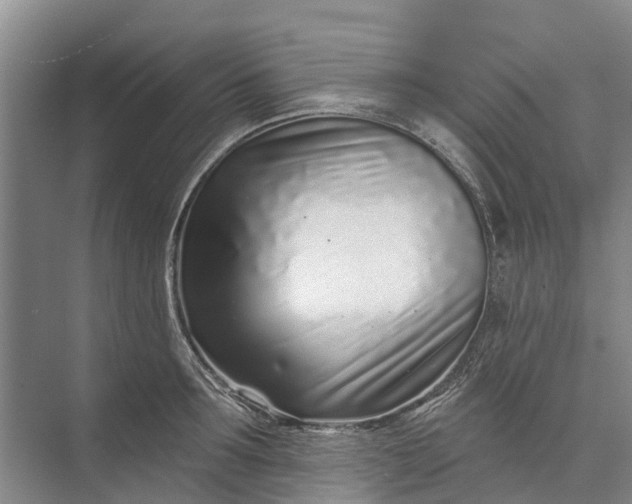 X0000072940899200608041239