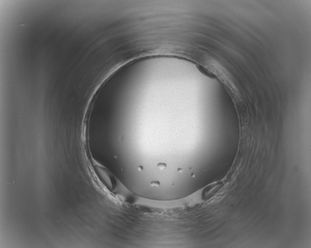 X0000072940900200608041239