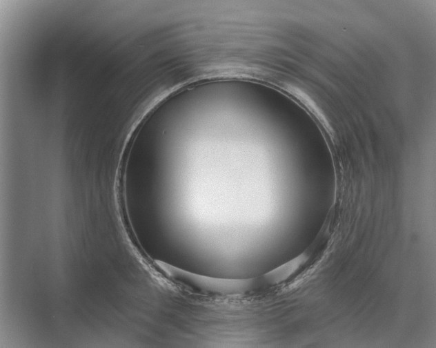 X0000072940901200608041239