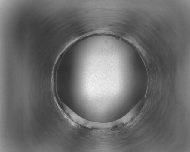 X0000072940902200608041239