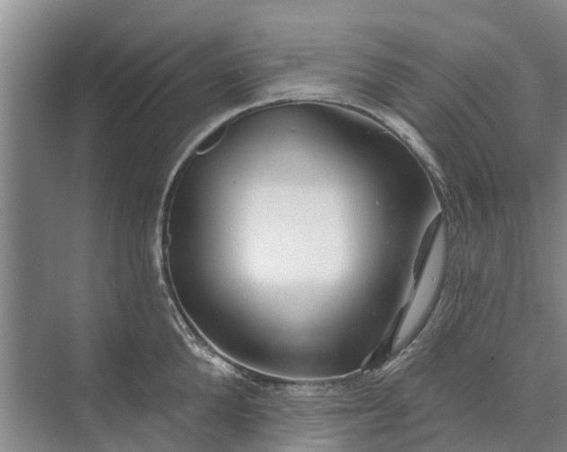 X0000072940904200608041239