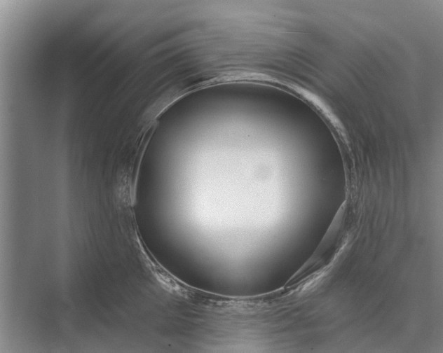 X0000072940905200608041239