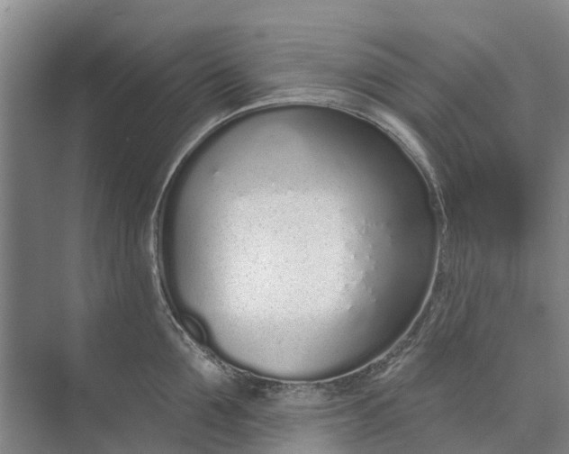 X0000072940907200608041239