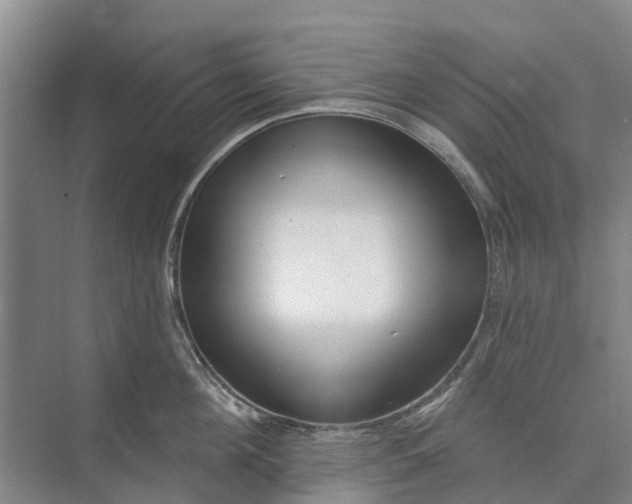 X0000072940908200608041239