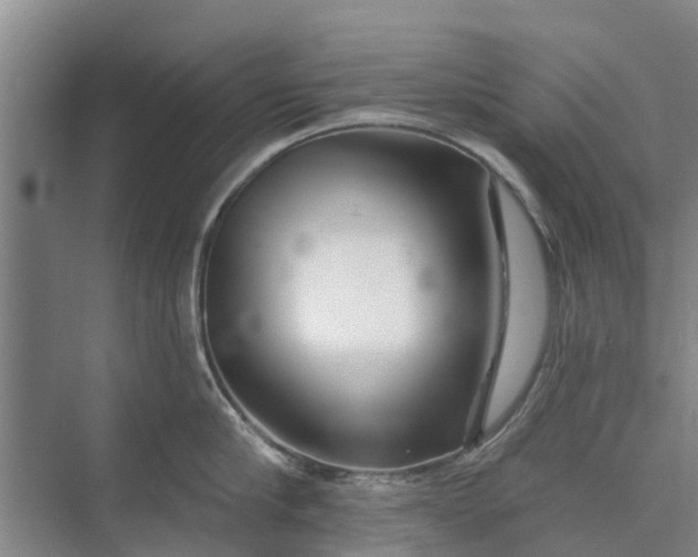 X0000072940910200608041238