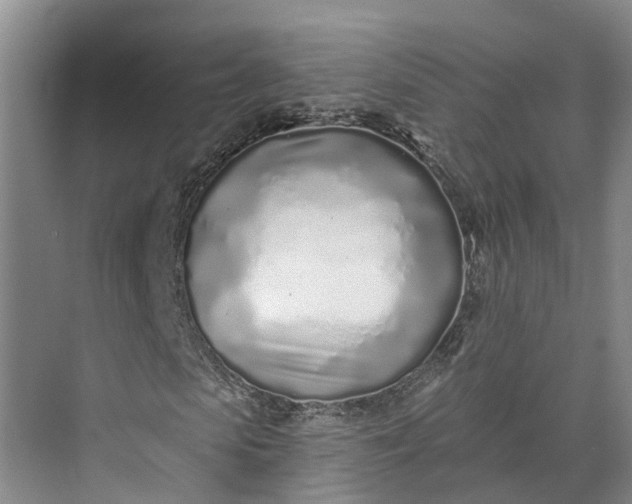 X0000072940913200608041238