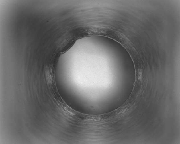 X0000072940915200608041238