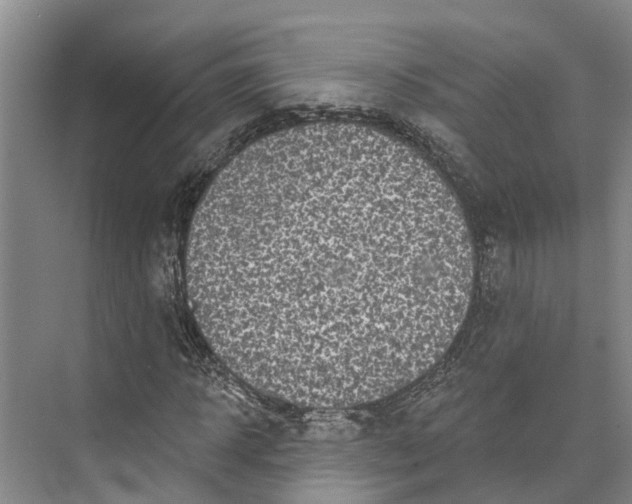 X0000072940918200608041238