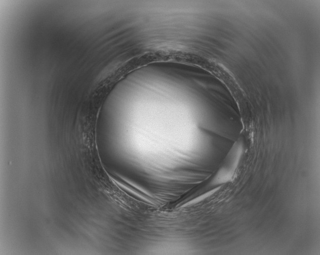 X0000072940919200608041238