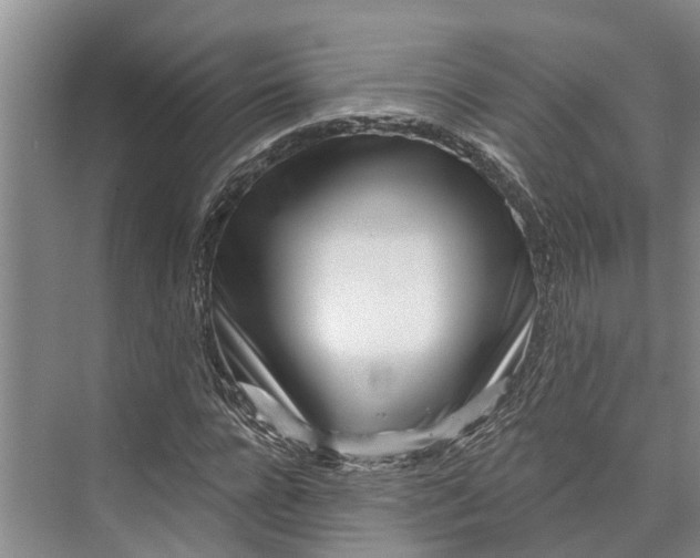 X0000072940920200608041238