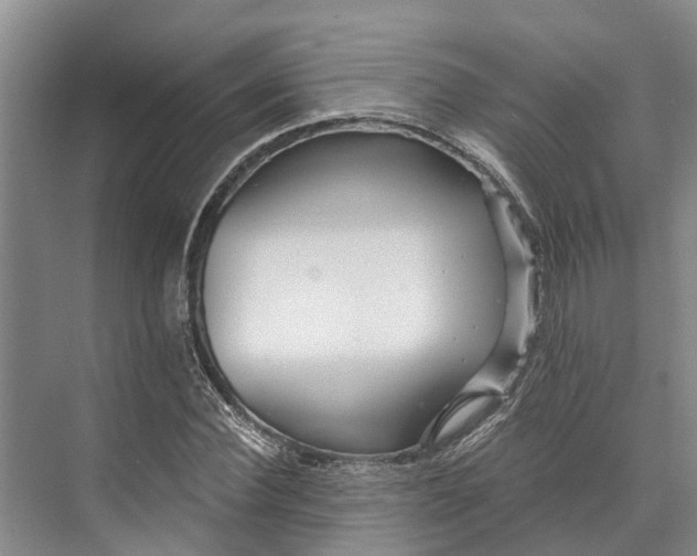 X0000072940924200608041238