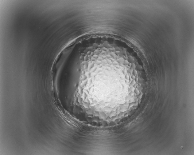 X0000072940925200608041238