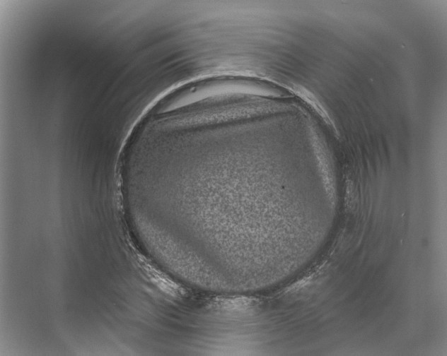 X0000072940926200608041238