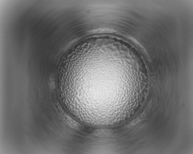 X0000072940929200608041238