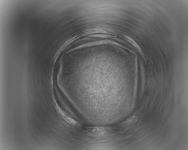 X0000072940938200608041238