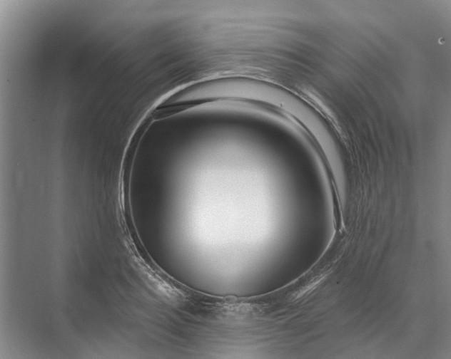 X0000072940940200608041238