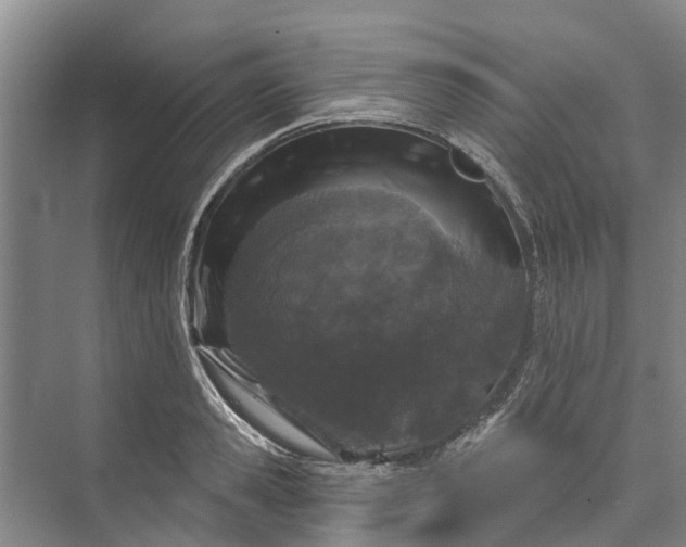 X0000072940941200608041238