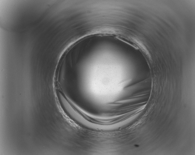 X0000072940944200608041238