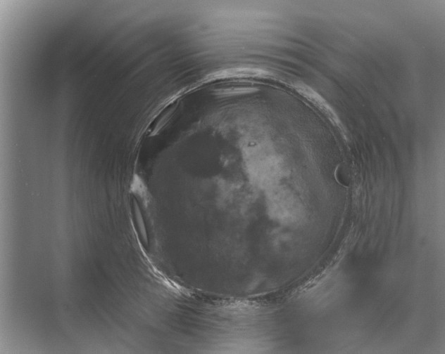 X0000072940945200608041238