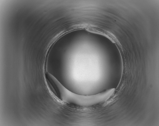 X0000072940946200608041238