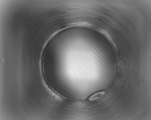 X0000072940947200608041238