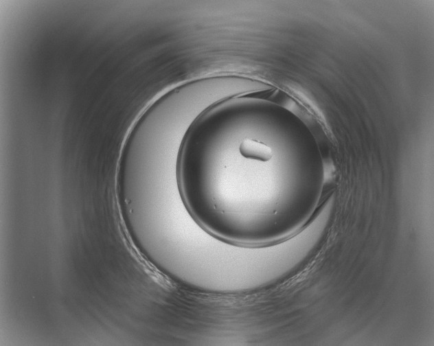 X0000072940948200608041238