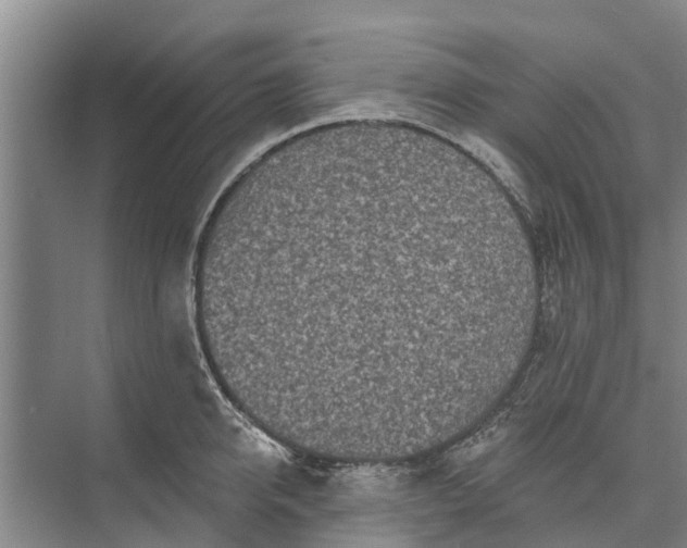 X0000072940950200608041238