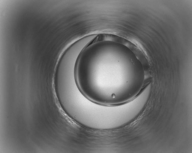 X0000072940952200608041238