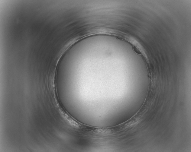 X0000072940954200608041238