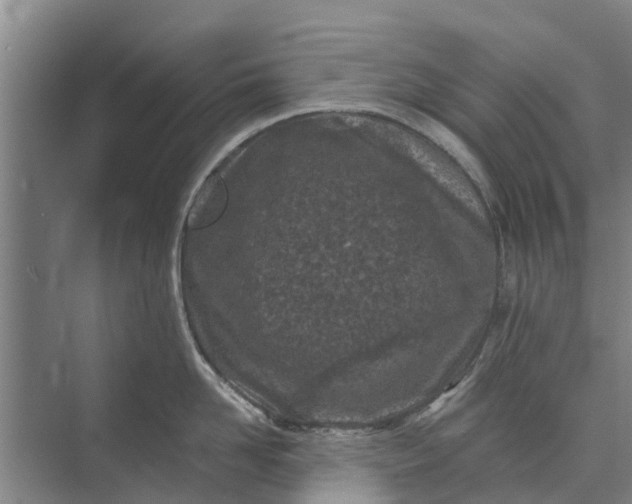 X0000072940958200608041238