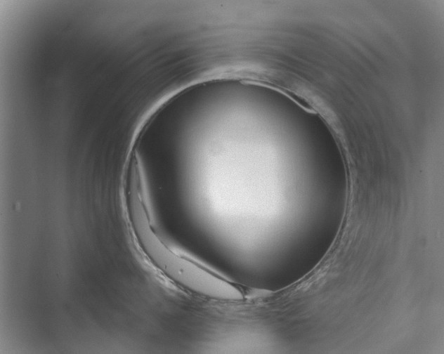 X0000072940960200608041238