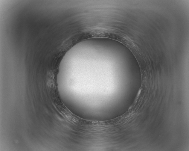 X0000072940964200608041238