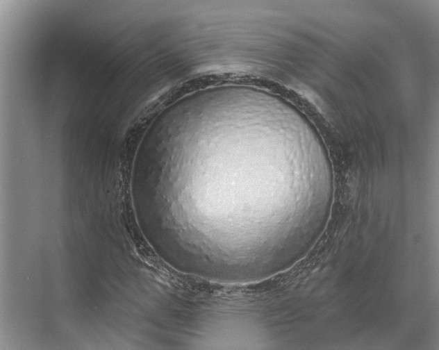 X0000072940967200608041238