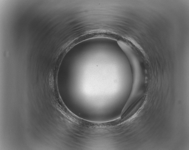 X0000072940969200608041237