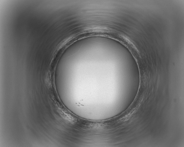 X0000072940970200608041237