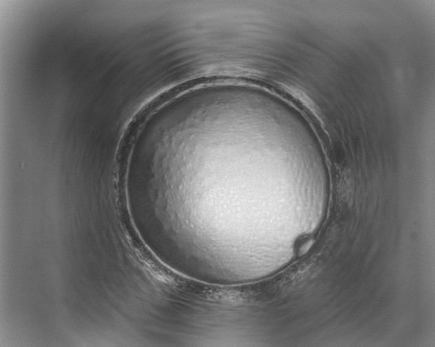 X0000072940971200608041237