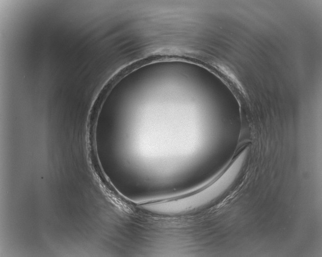 X0000072940976200608041237