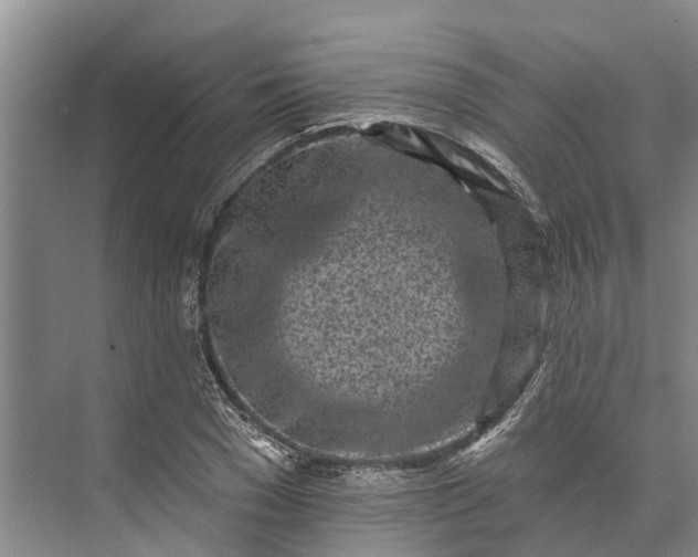 X0000072940977200608041237