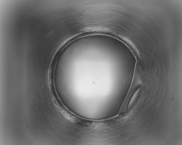 X0000072940983200608041237