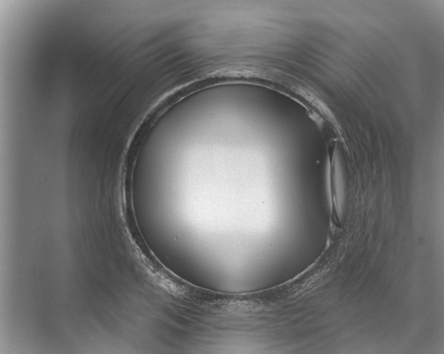 X0000072940984200608041237