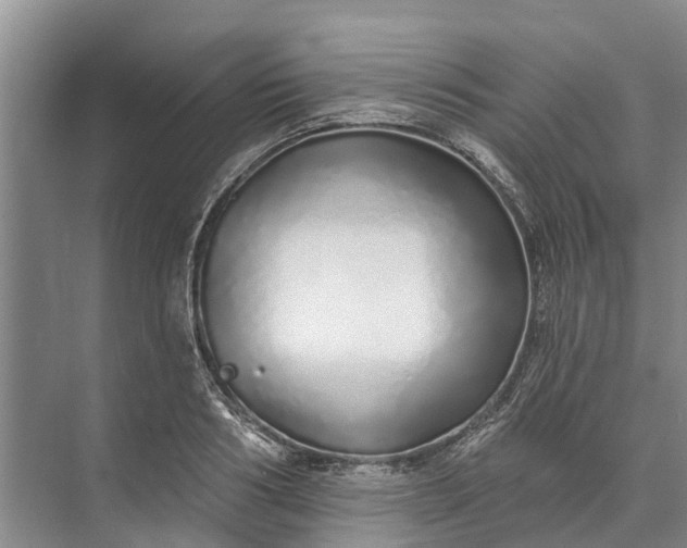 X0000072940986200608041237