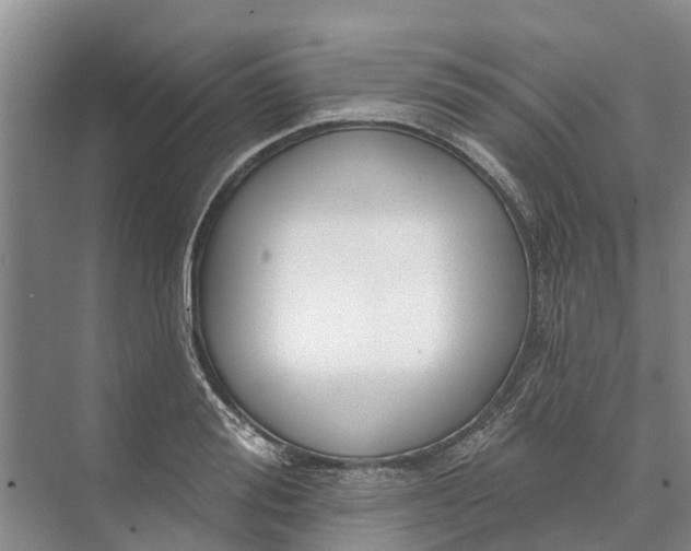 X0000072940988200608041237